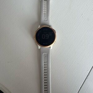 Garmin Fenix 6s